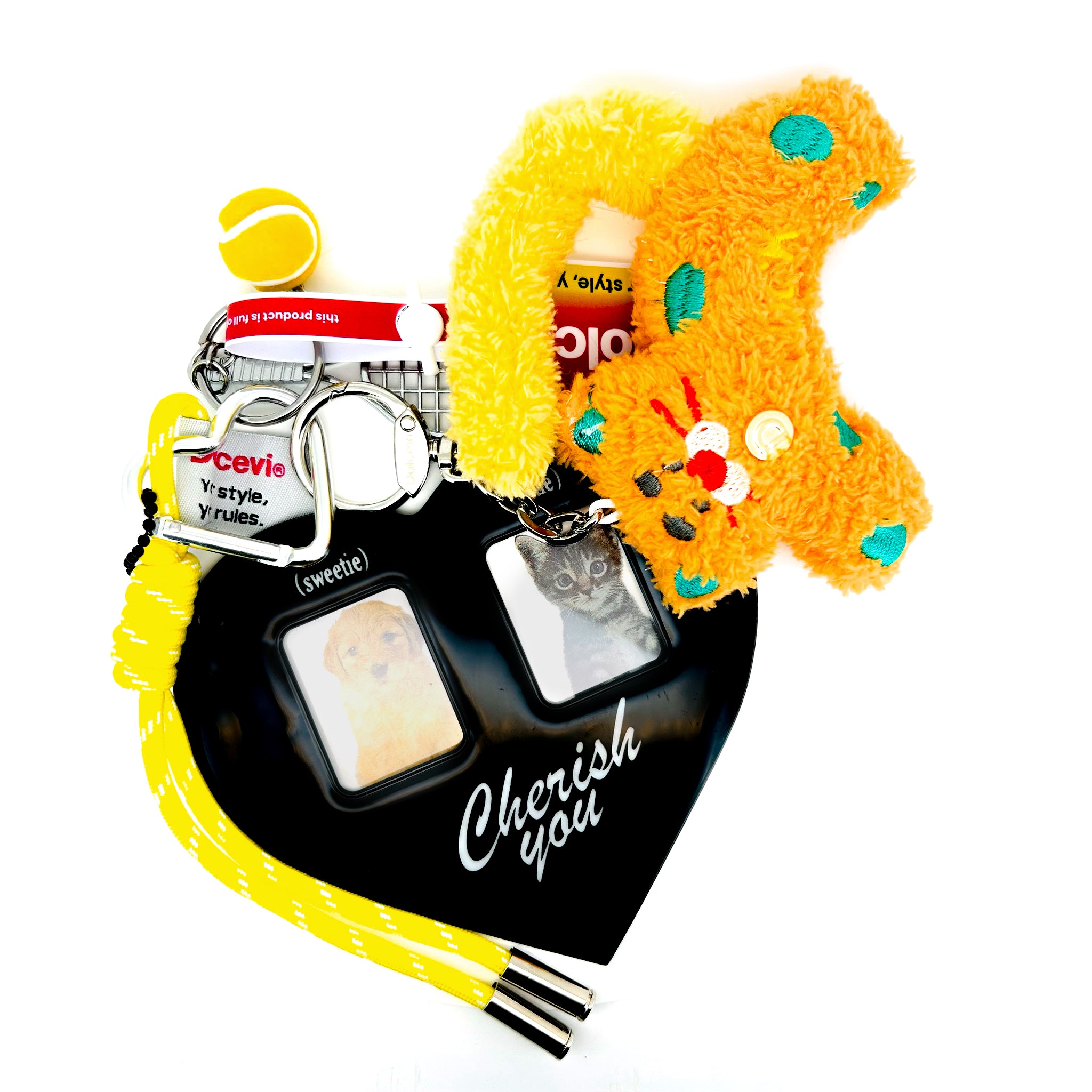 Golden Whiskers Memory Charm